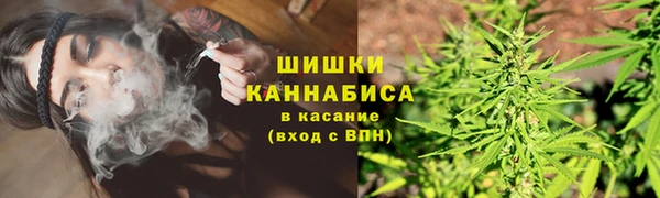 PSILOCYBIN Белокуриха
