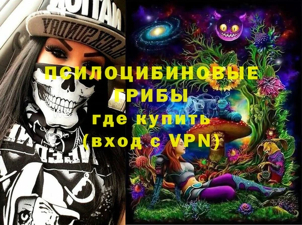 PSILOCYBIN Белокуриха