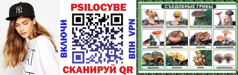 shop наркотические препараты  OMG онион  Очёр  закладки  Псилоцибиновые грибы Cubensis 